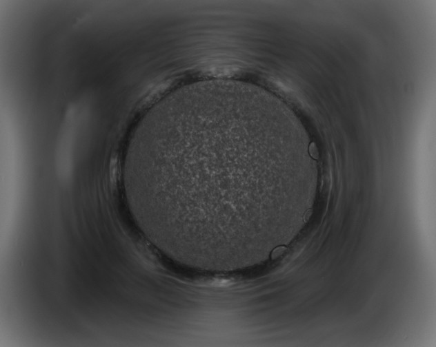 X0000086050647200704131957