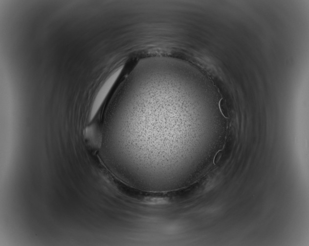 X0000086050649200704131957