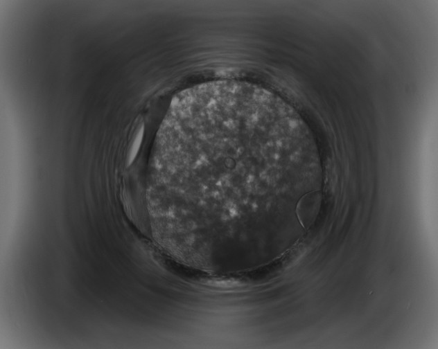 X0000086050650200704131957