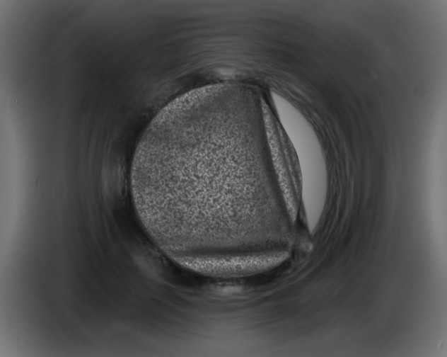 X0000086050651200704131957
