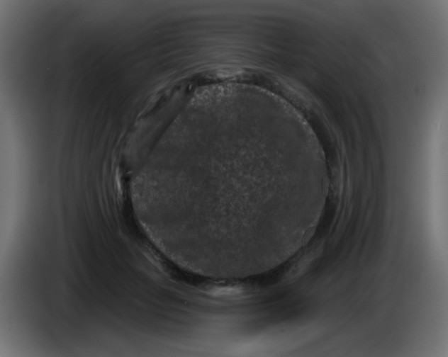 X0000086050653200704131957