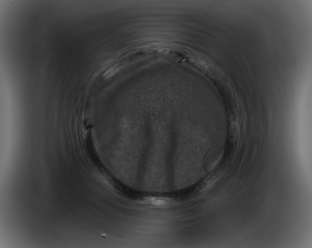 X0000086050654200704131957