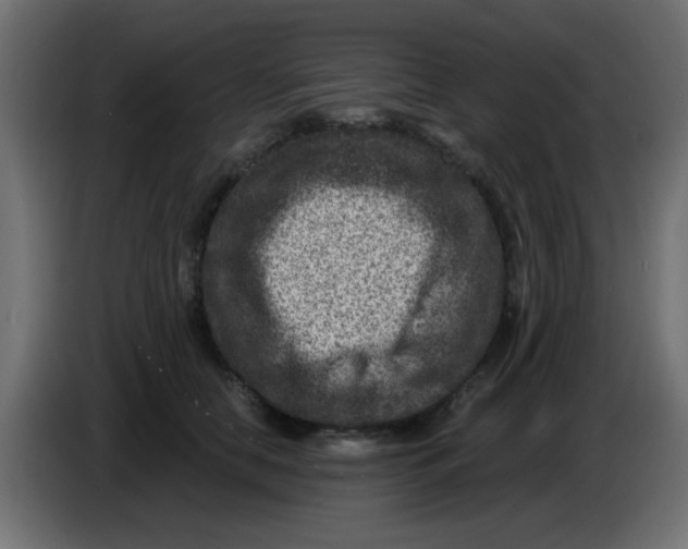 X0000086050658200704131957