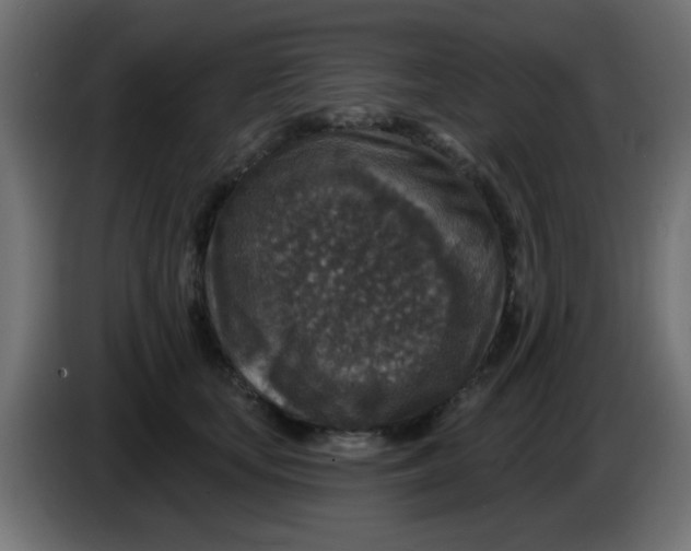 X0000086050659200704131957