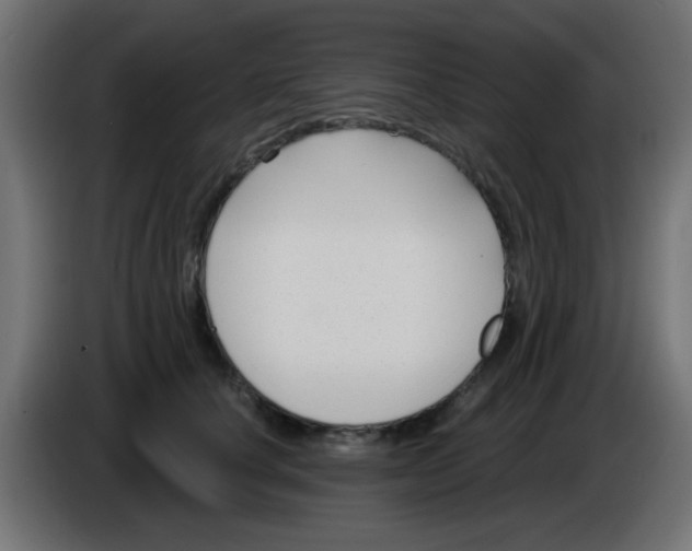 X0000086050660200704131957