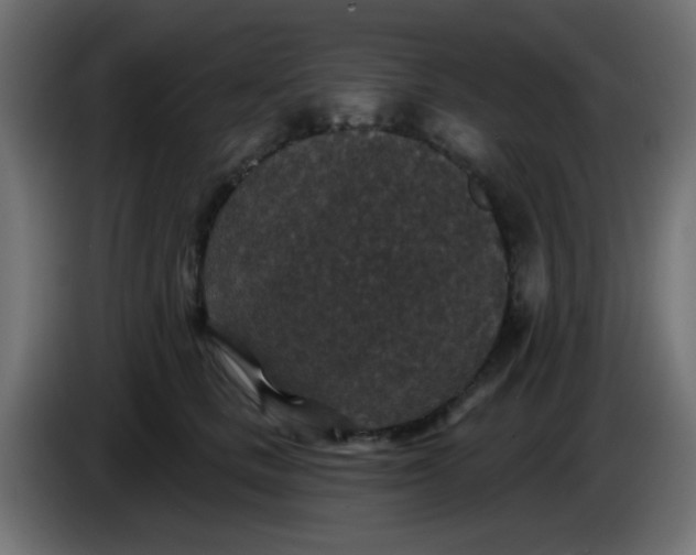 X0000086050661200704131957
