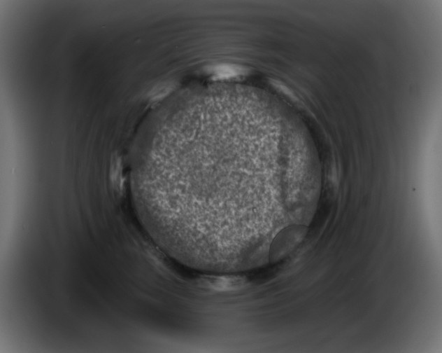 X0000086050663200704131957