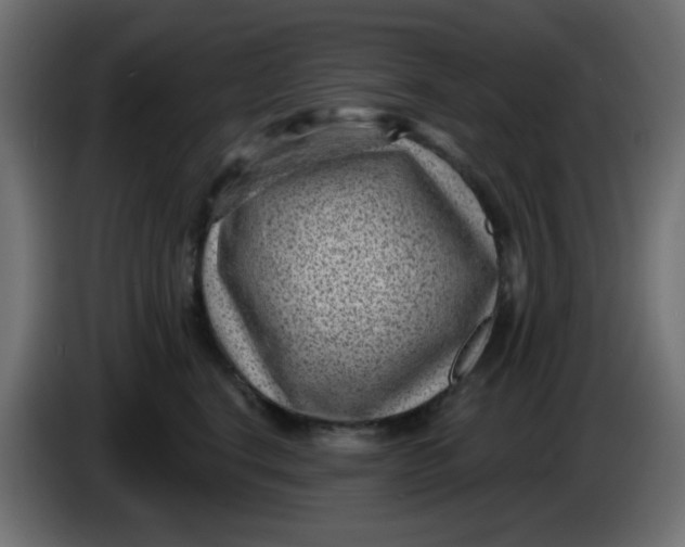 X0000086050664200704131957