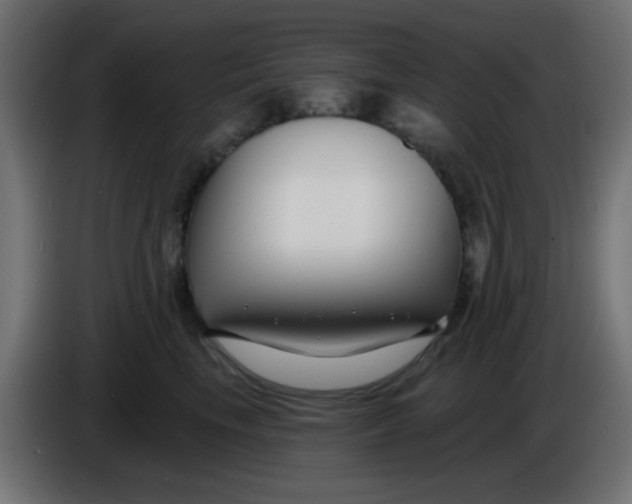 X0000086050665200704131957