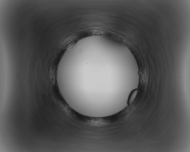 X0000086050666200704131957