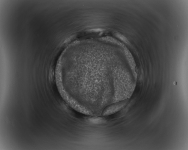 X0000086050669200704131957