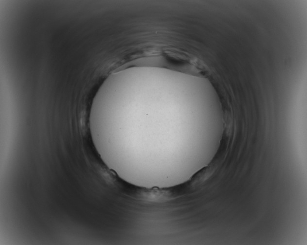 X0000086050670200704131957