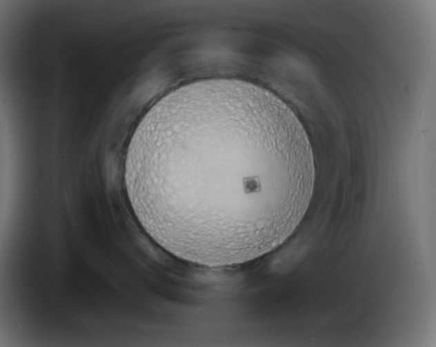 X0000086050672200704131957