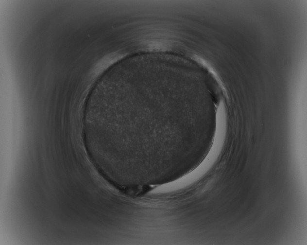 X0000086050673200704131957