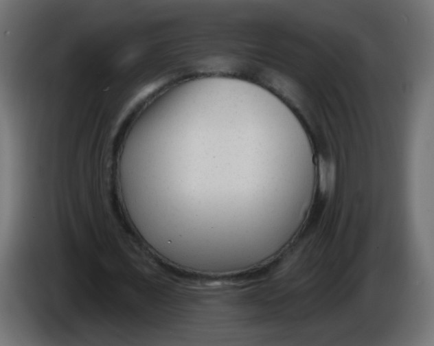 X0000086050675200704131957