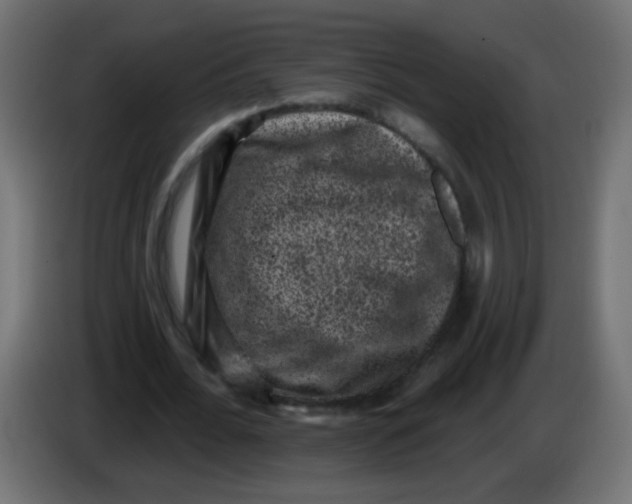 X0000086050676200704131957