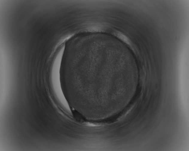X0000086050677200704131957