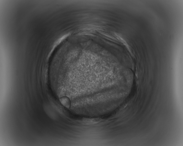 X0000086050679200704131957