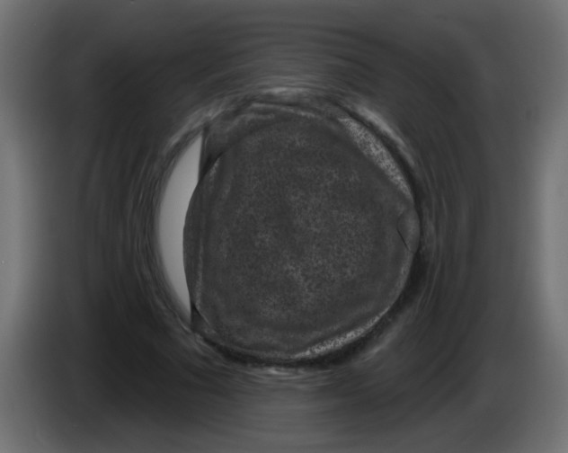 X0000086050681200704131957