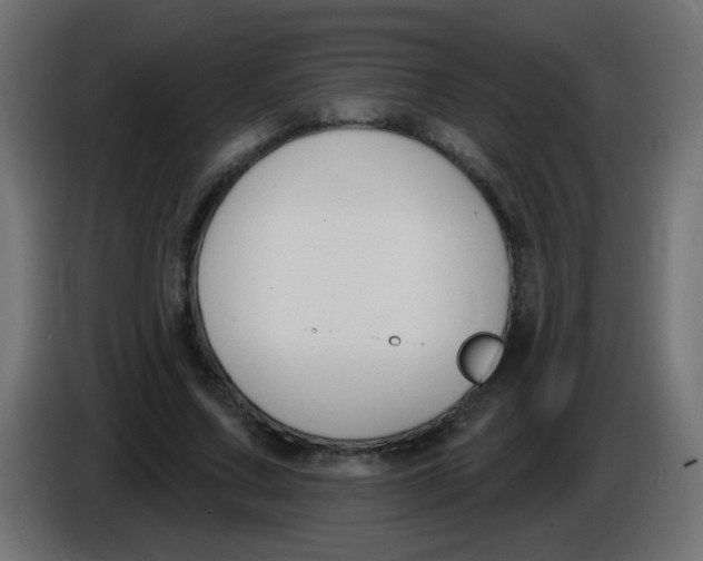 X0000086050683200704131957