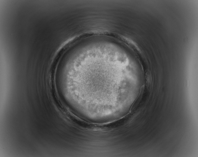 X0000086050684200704131957
