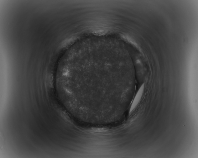 X0000086050689200704131957