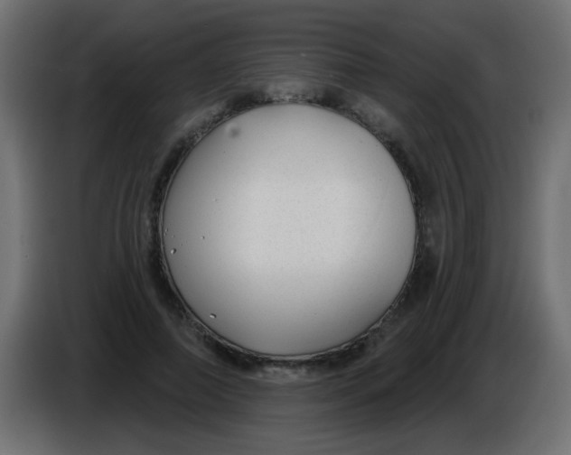 X0000086050690200704131956