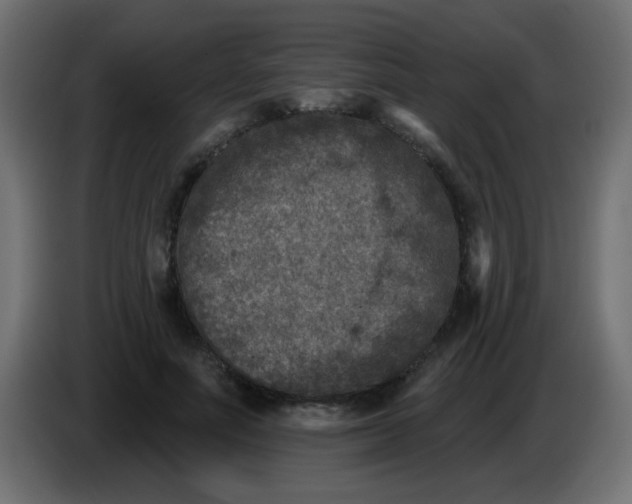 X0000086050691200704131956