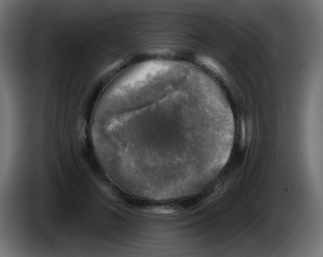 X0000086050692200704131956