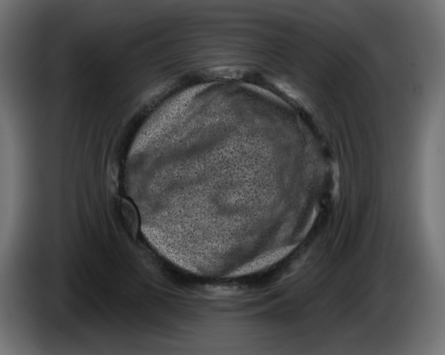 X0000086050693200704131956