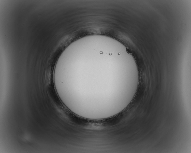 X0000086050694200704131956