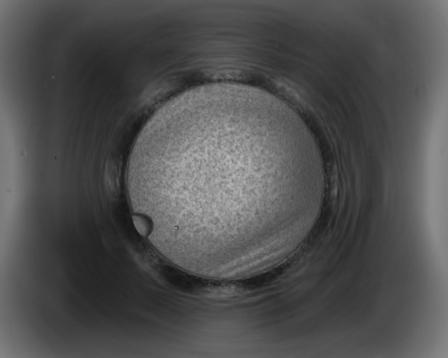 X0000086050695200704131956