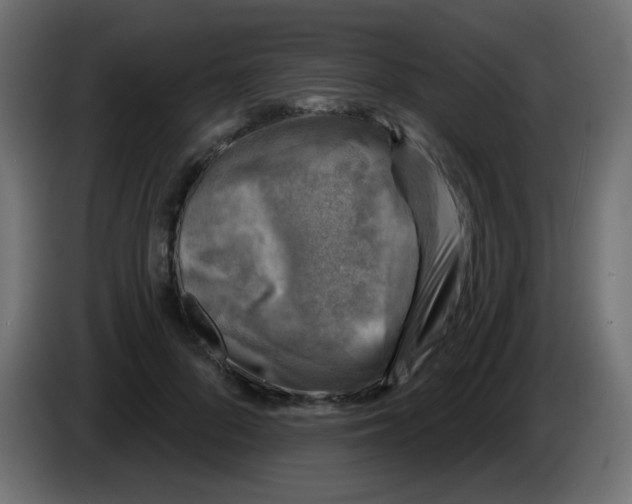 X0000086050696200704131956