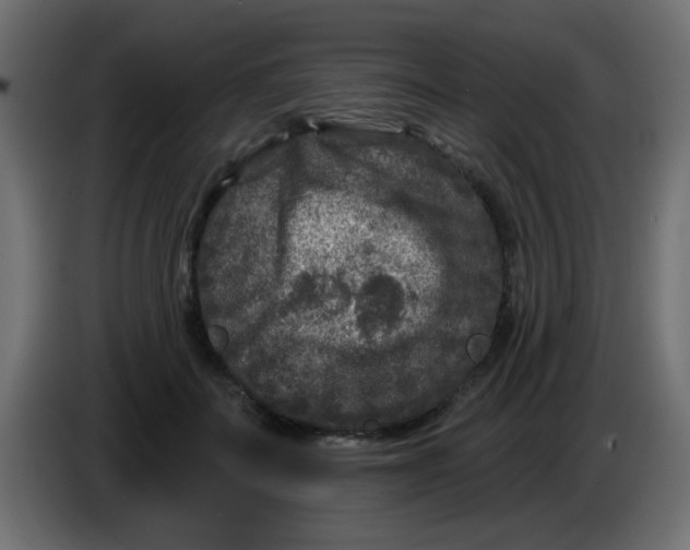 X0000086050699200704131956
