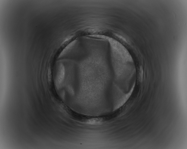 X0000086050700200704131956