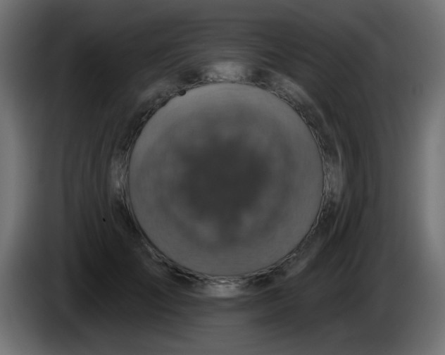 X0000086050701200704131956