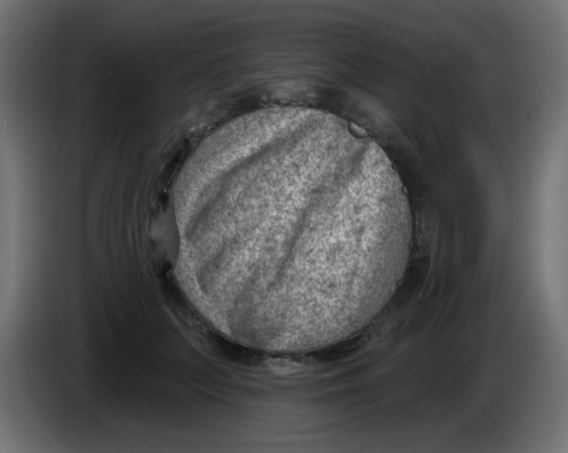 X0000086050703200704131956