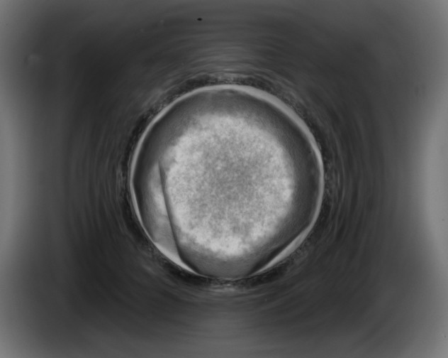 X0000086050704200704131956