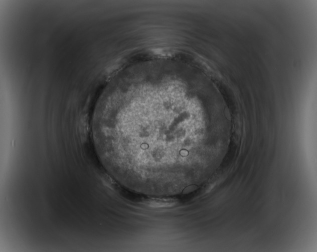 X0000086050707200704131956