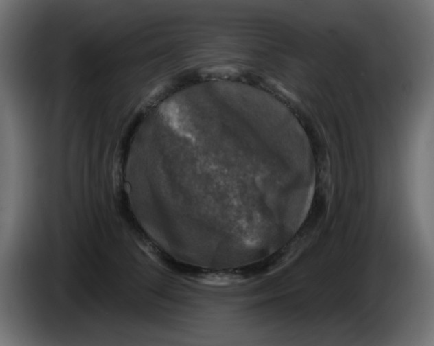 X0000086050708200704131956