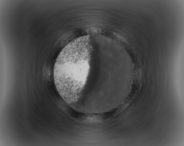 X0000086050709200704131956