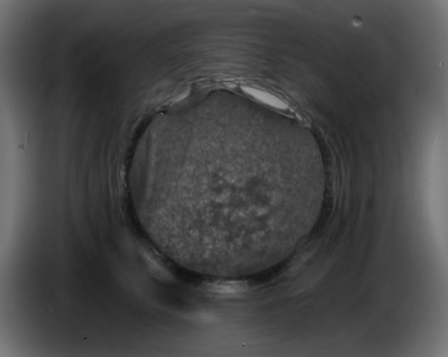 X0000086050711200704131956