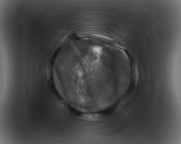 X0000086050712200704131956