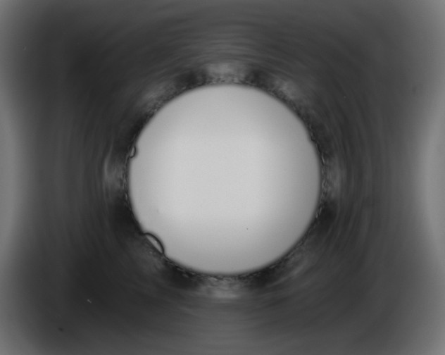 X0000086050713200704131956