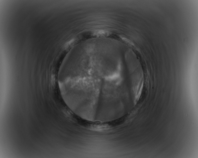 X0000086050716200704131956