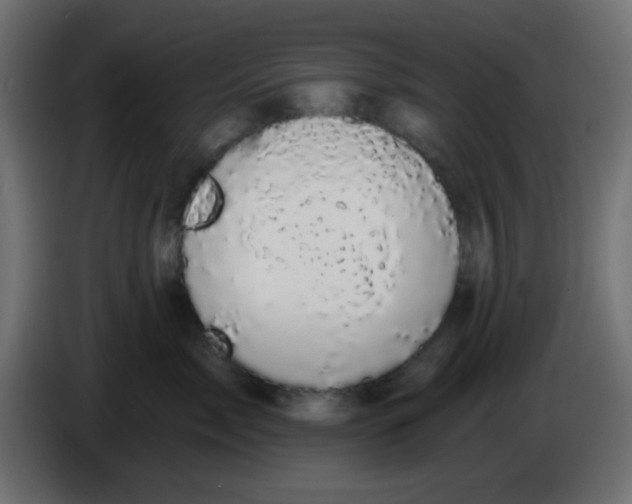 X0000086050717200704131956