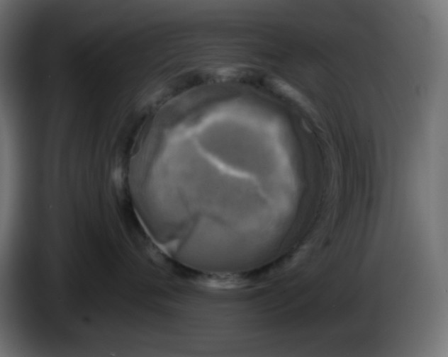 X0000086050720200704131956