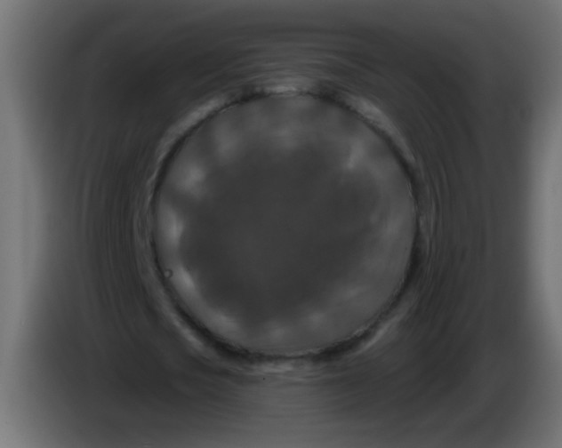 X0000086050721200704131955