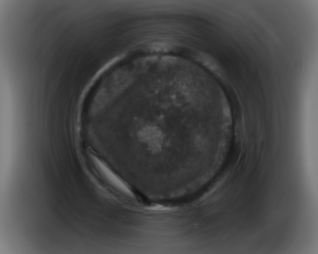 X0000086050722200704131955