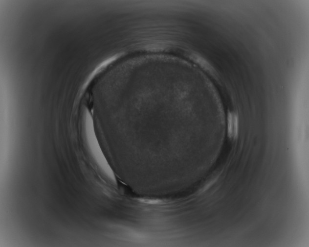 X0000086050723200704131955